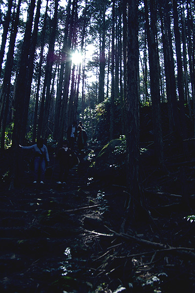 f0104037_1527245.jpg