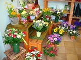 c0153740_323578.jpg