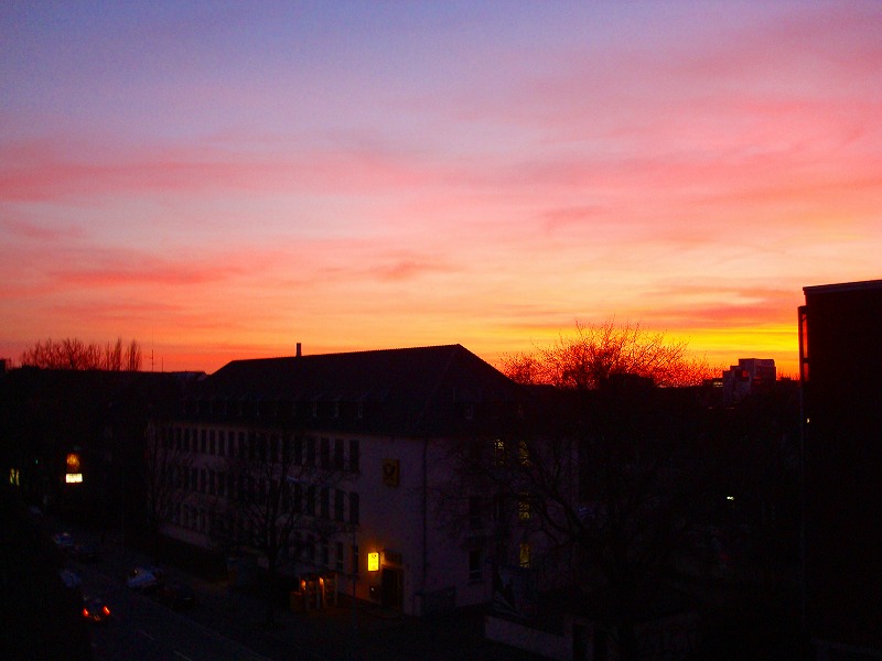 c0153740_3363937.jpg