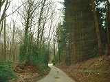 c0153740_39103.jpg