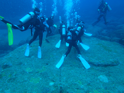 今年もミラクル ☆ Diving School J.D.A 様_d0113459_18245089.jpg