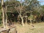 c0108460_15272337.jpg