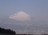 b0105674_20393613.jpg
