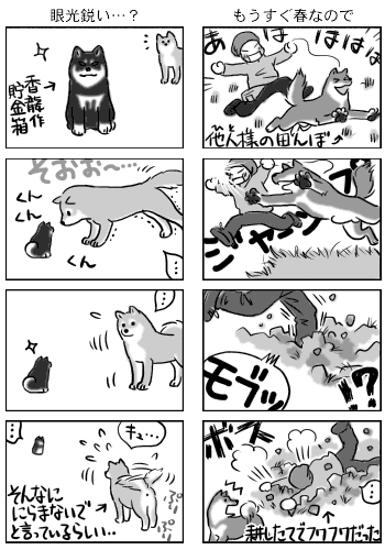 柴と徒然漫画/2008.2.25_b0057675_11564787.gif