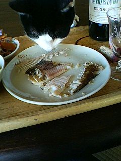 イフ_f0054677_785839.jpg