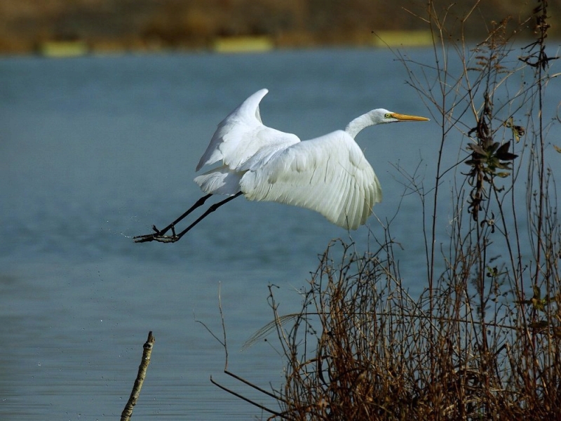 Take off  ～ Splashdown_e0128187_20152094.jpg