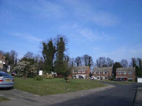 f0046489_615029.jpg