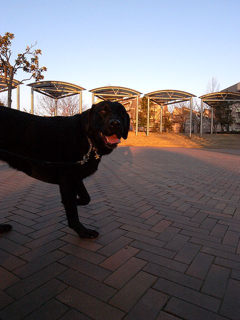 a0093592_22183899.jpg