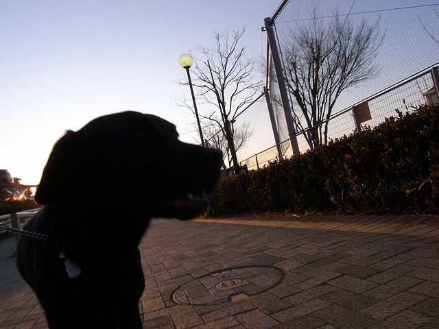 a0093592_2321275.jpg