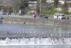 a0107792_2320051.jpg