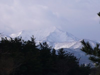 a0079098_16373583.jpg