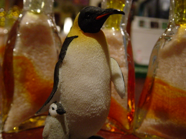 ペンギン・カフェでお茶を_f0148098_1846318.jpg