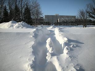 a0039299_2028647.jpg