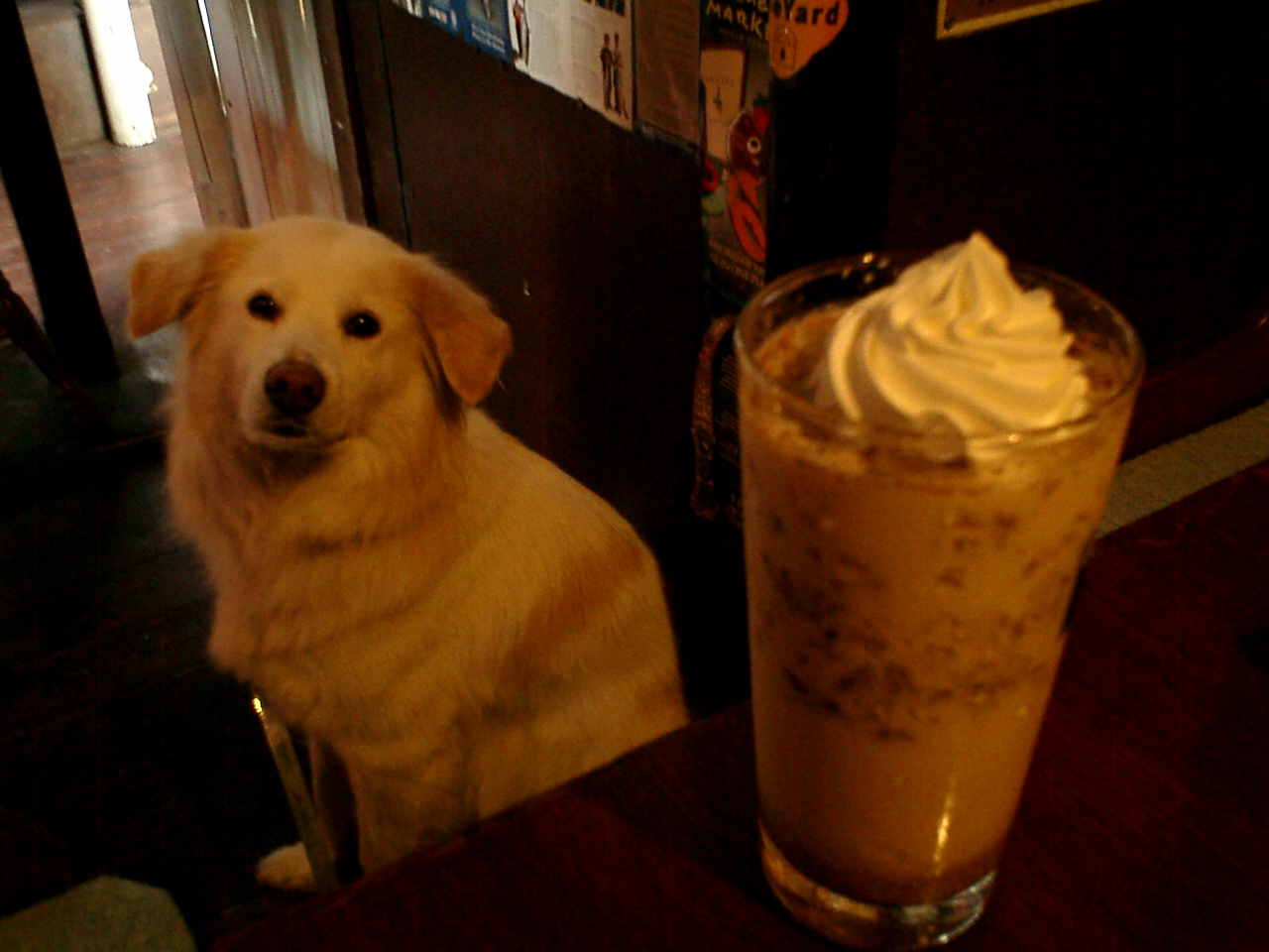 a0032004_15274150.jpg