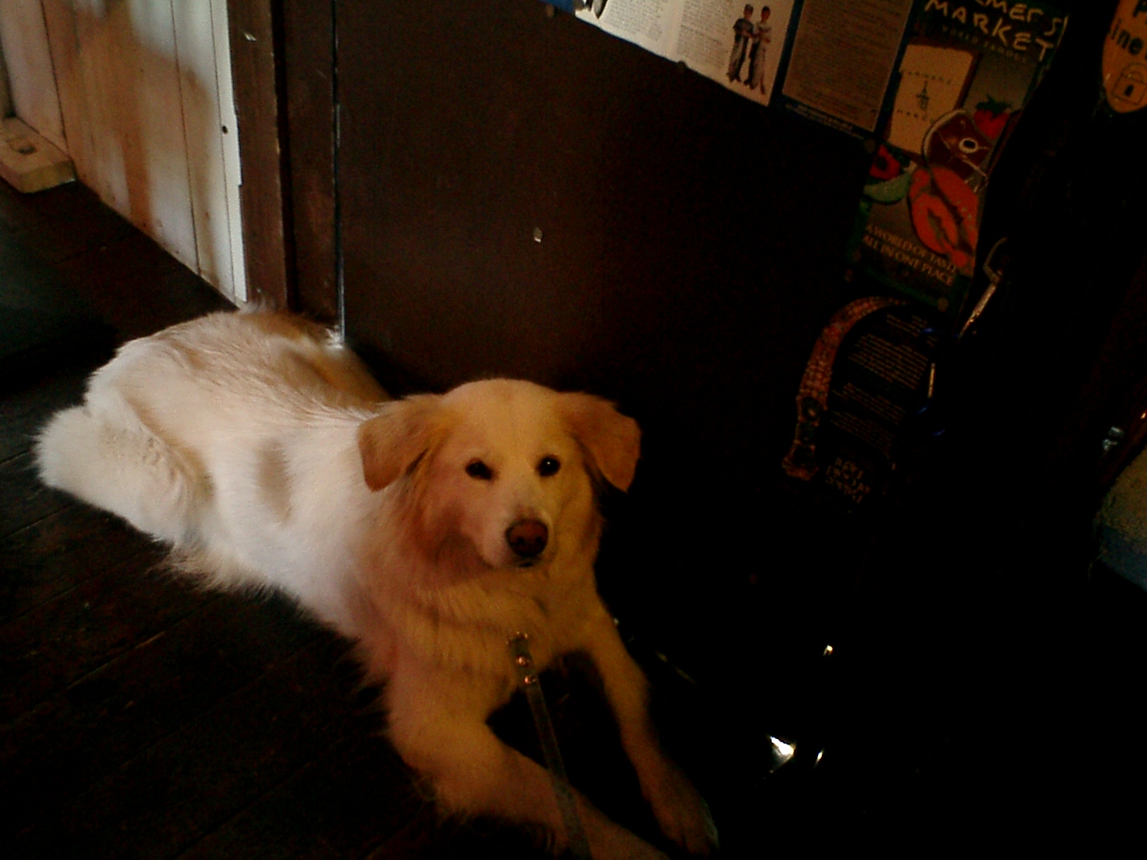 a0032004_15305299.jpg