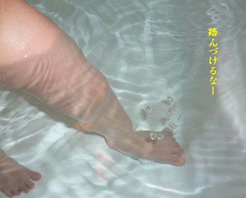 e0094407_1736190.jpg