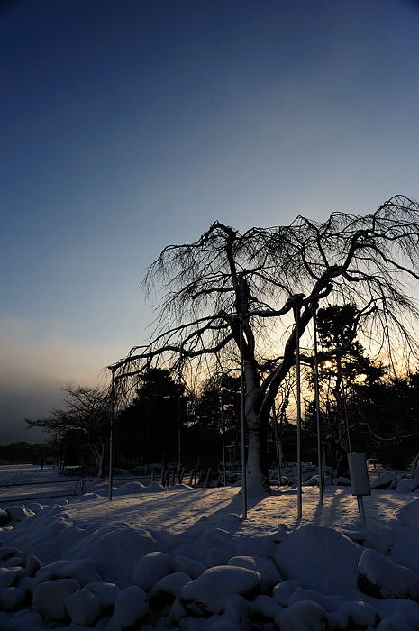 おいでやす~大雪の嵐山へ♪ 上り編_f0032011_21443890.jpg