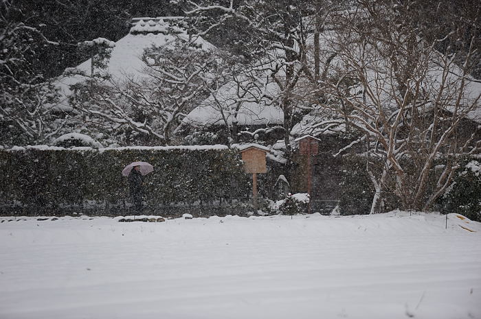 おいでやす~大雪の嵐山へ♪ 上り編_f0032011_21511197.jpg