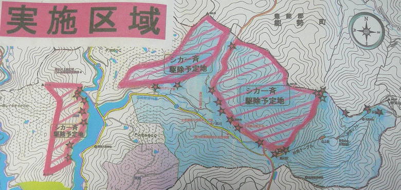 d0024426_82038.jpg
