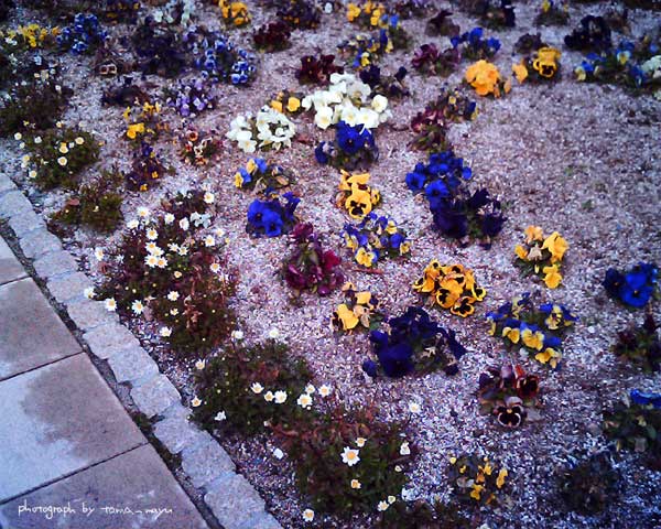 d0036630_10242150.jpg