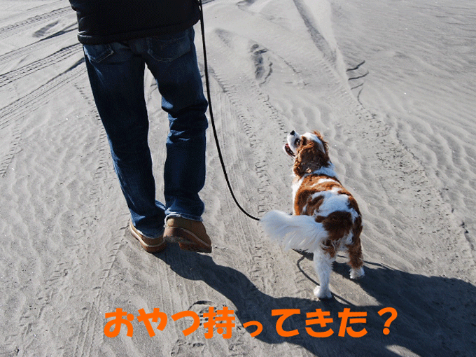c0136838_22514183.gif