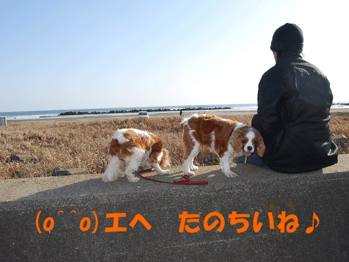c0136838_22542480.gif