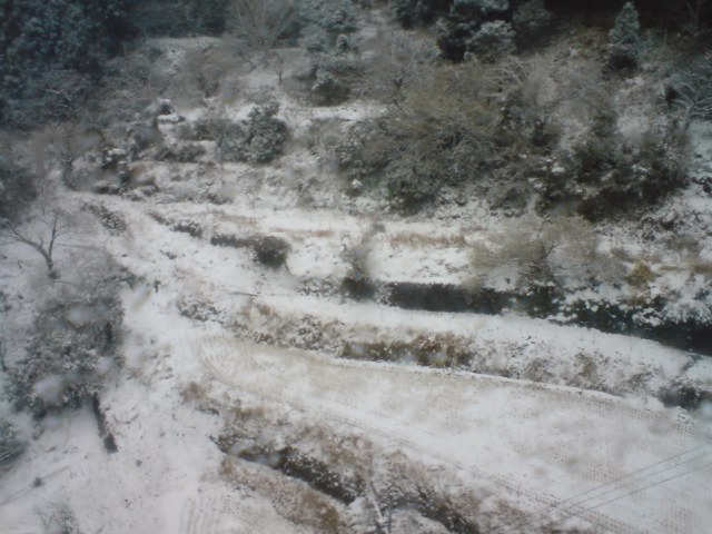 c0029442_06888.jpg