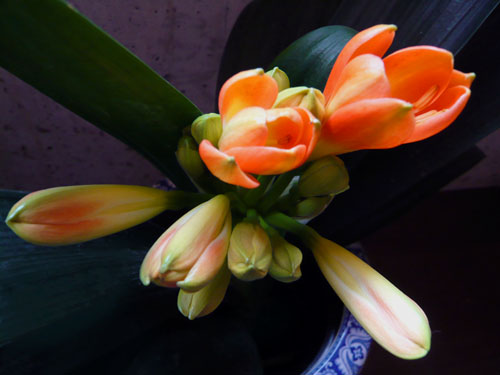 c0131544_21201149.jpg