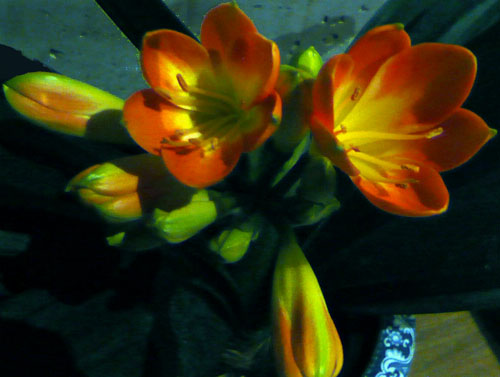 c0131544_2120351.jpg