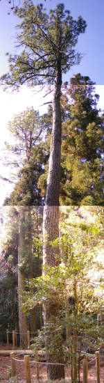 e0033751_23151558.jpg