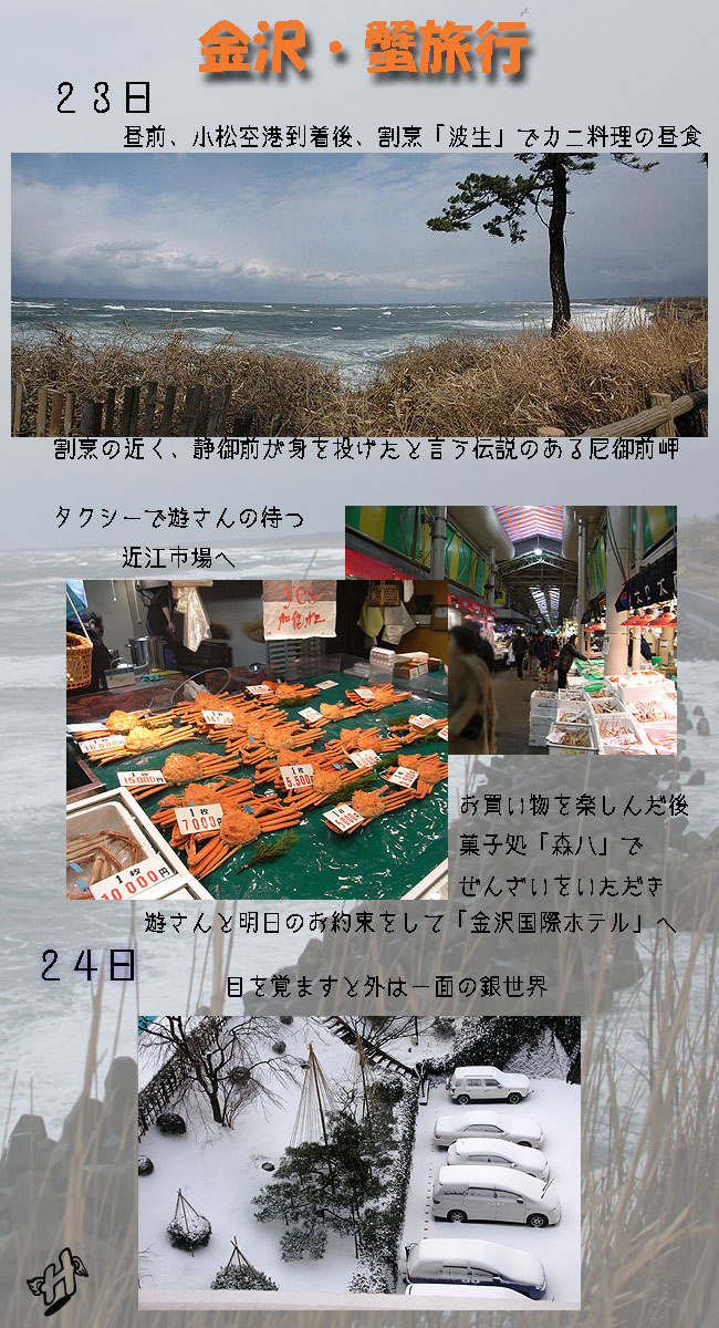 金沢　春の嵐　　－２月２３日・２４日ー_e0020954_20323479.jpg