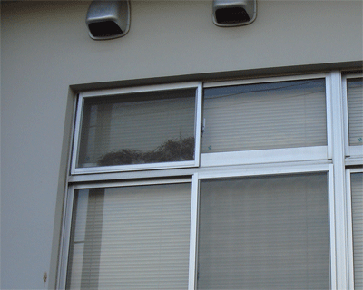 d0096356_824137.gif