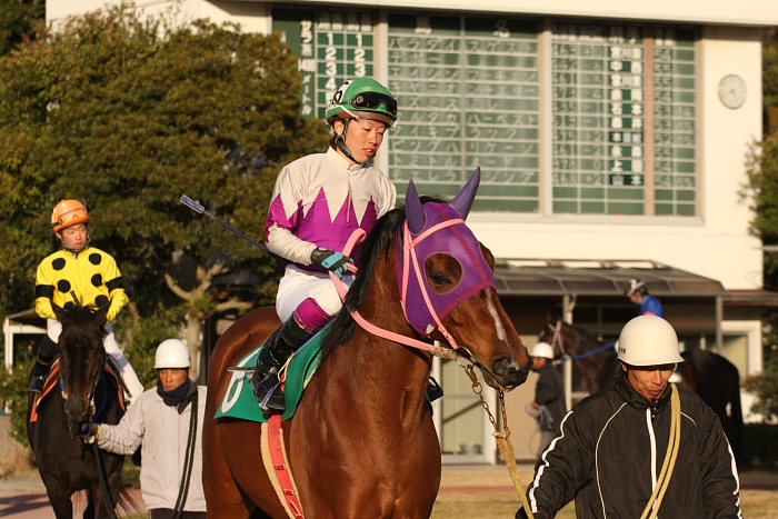 山本聡哉騎手 高知競馬最後のレースで勝利!!_a0077663_18333489.jpg