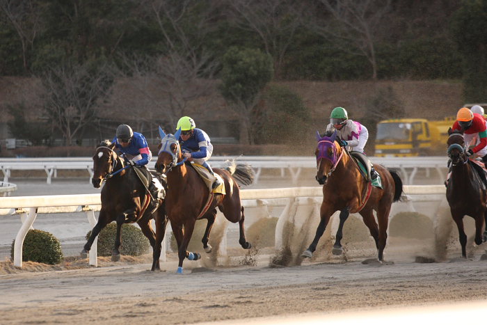 山本聡哉騎手 高知競馬最後のレースで勝利！！_a0077663_18341591.jpg