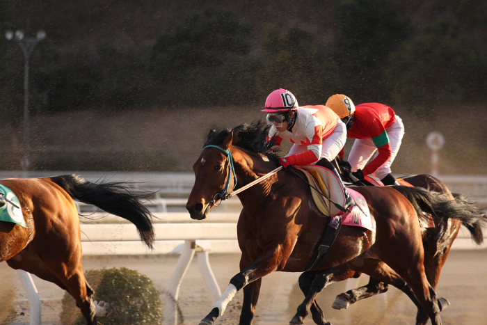 山本聡哉騎手 高知競馬最後のレースで勝利！！_a0077663_18342779.jpg