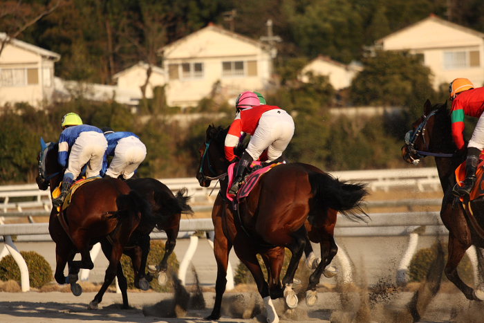 山本聡哉騎手 高知競馬最後のレースで勝利！！_a0077663_18343748.jpg