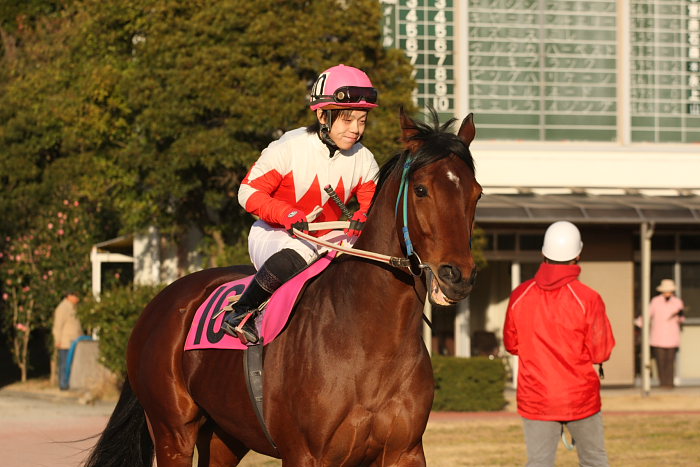 山本聡哉騎手 高知競馬最後のレースで勝利!!_a0077663_1834575.jpg