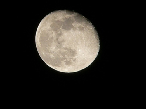 a0027677_2005649.jpg