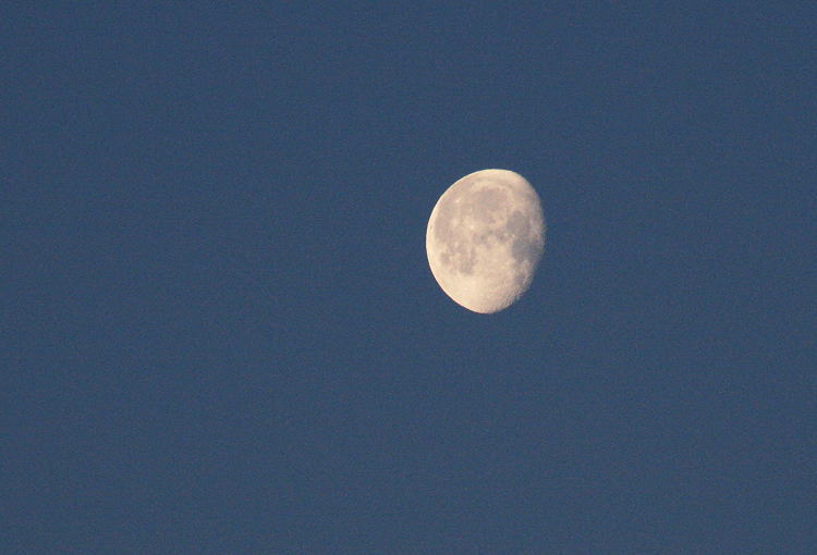 c0112479_8455796.jpg