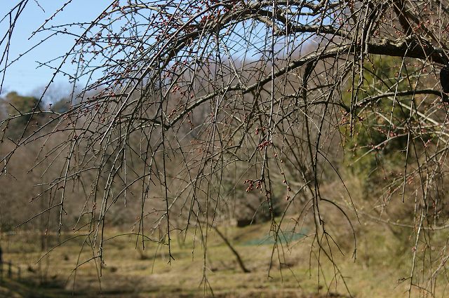 e0070891_18412010.jpg