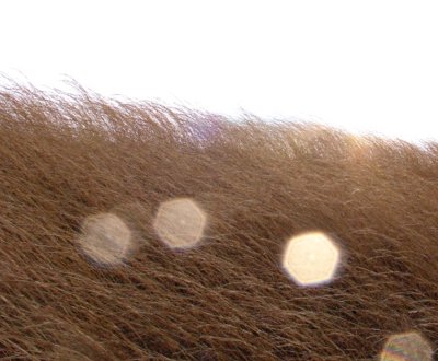a0031000_2241353.jpg
