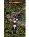 f0072010_18243815.gif