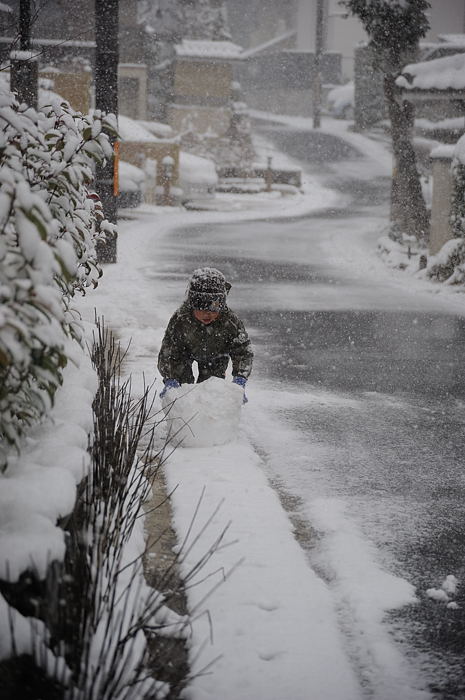 おいでやす~大雪の嵐山へ♪ 折り返し編_f0032011_19513177.jpg