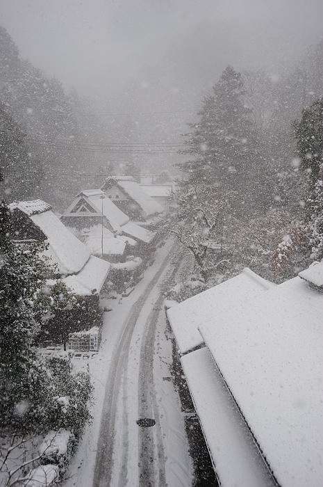 おいでやす~大雪の嵐山へ♪ 折り返し編_f0032011_19521286.jpg