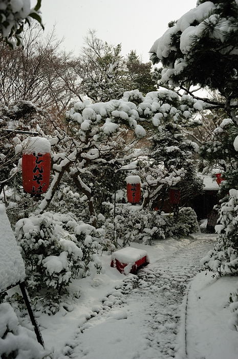 おいでやす~大雪の嵐山へ♪ 折り返し編_f0032011_1952176.jpg