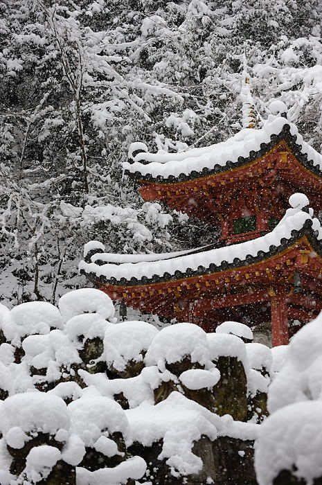 おいでやす~大雪の嵐山へ♪ 折り返し編_f0032011_19525055.jpg
