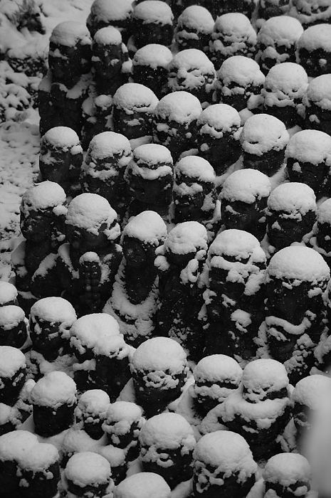 おいでやす~大雪の嵐山へ♪ 折り返し編_f0032011_19533324.jpg