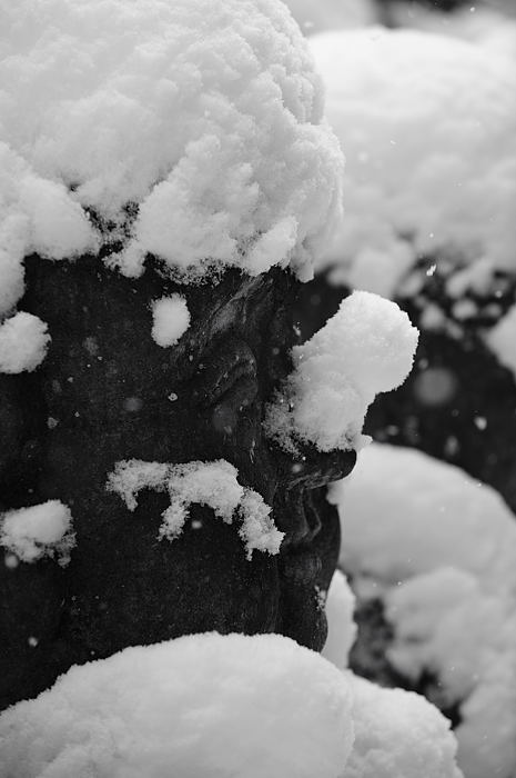 おいでやす~大雪の嵐山へ♪ 折り返し編_f0032011_1953865.jpg