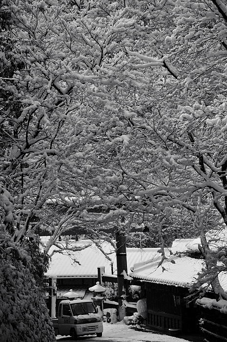 おいでやす～大雪の嵐山へ♪　折り返し編_f0032011_1955378.jpg