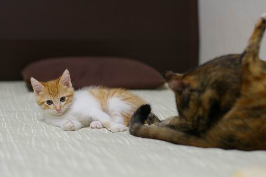 d0039312_10871.jpg
